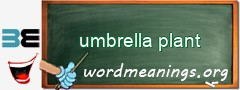 WordMeaning blackboard for umbrella plant